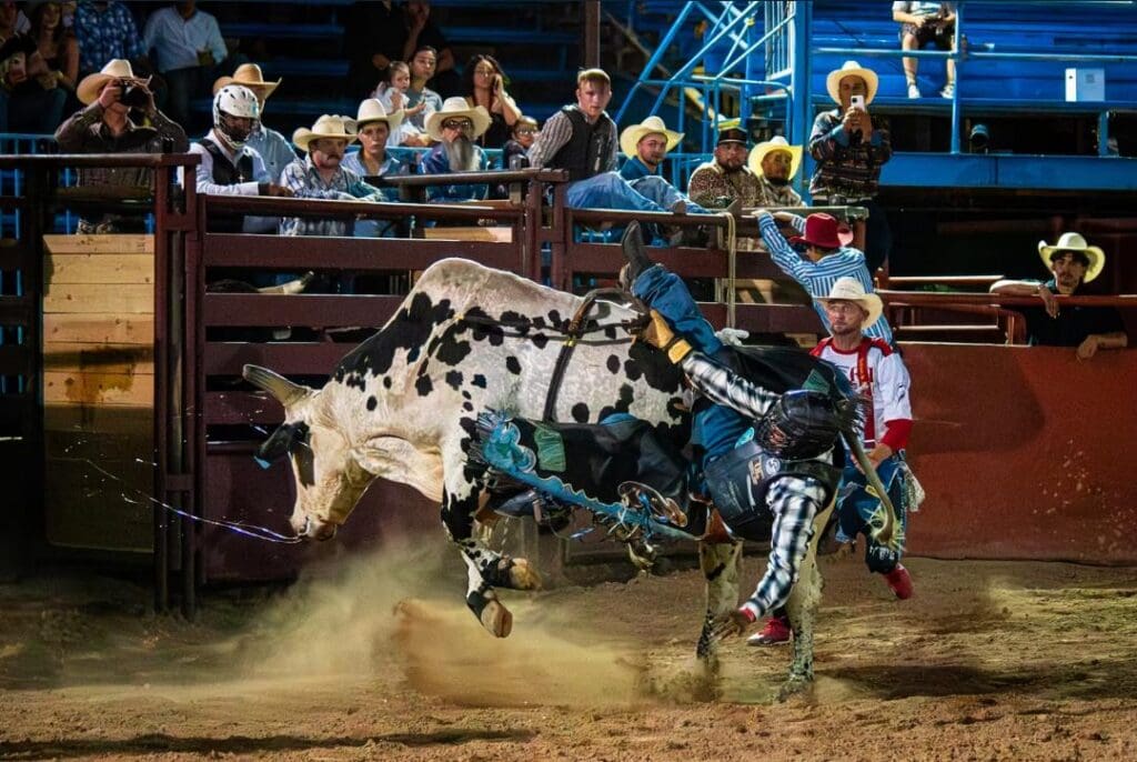 Cowboy Fest Bull Riding