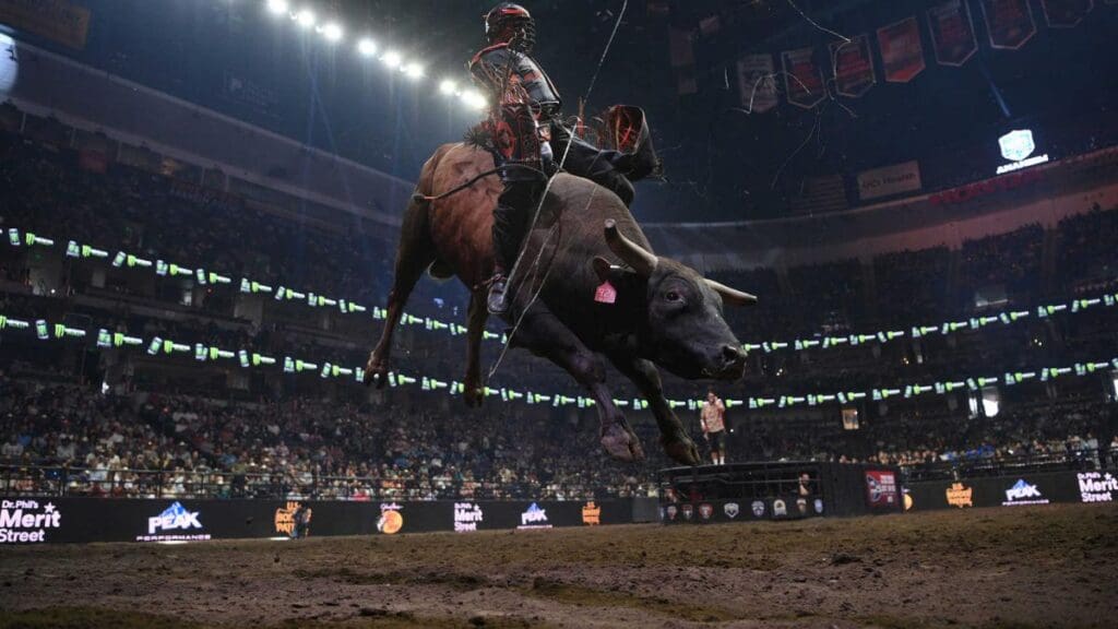 Photo Courtesy of the PBR website